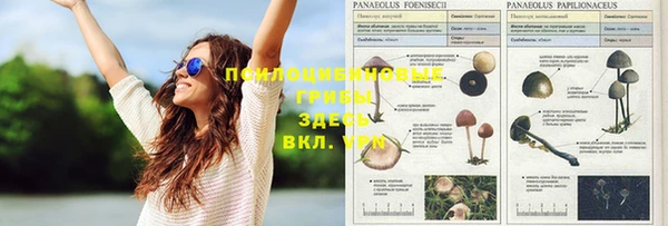 мяу мяу кристалл Бронницы