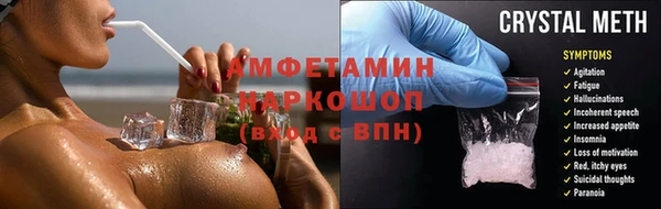гидра Богородицк