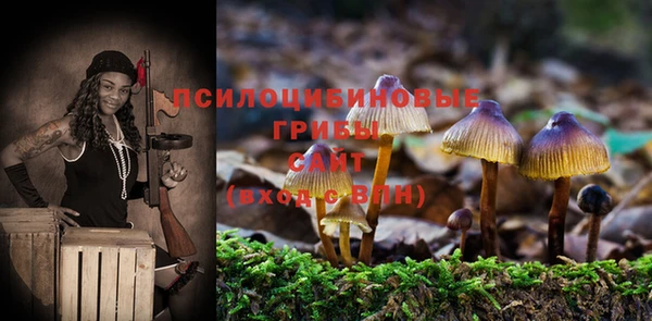 метамфетамин Богданович