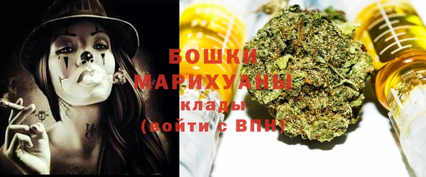 гидра Богородицк