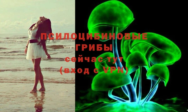 гидра Богородицк
