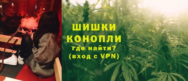 гашик Данков