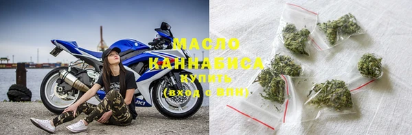 гидра Богородицк