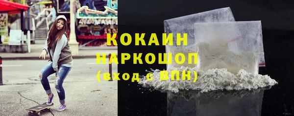гидра Богородицк