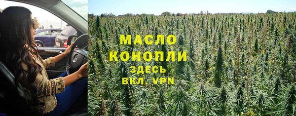 apvp Бородино