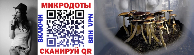 купить   hydra ссылки  Галлюциногенные грибы Magic Shrooms  Горячий Ключ 